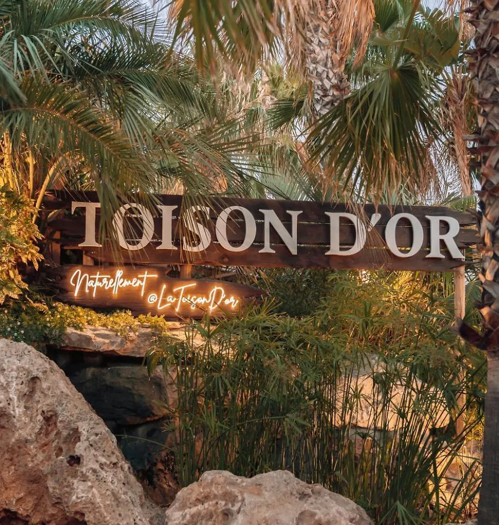 Toison D'Or Villa Saint-Tropez